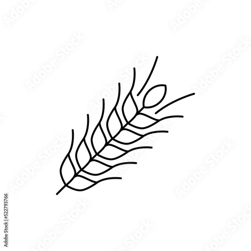 Rye icon in line style icon, isolated on white background