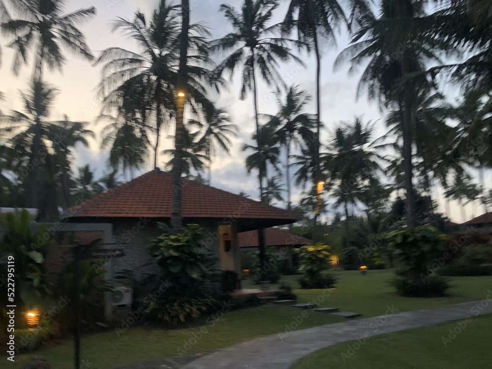 Cottage with coconut tree garden view