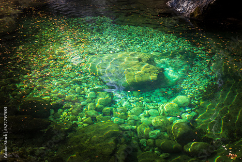 Green Lagoon of Beautiful Waterfall Virje on River Gljun near town of Bovec in Slovenia