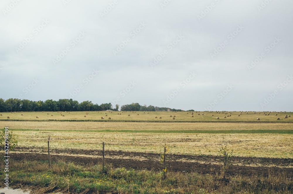 Yellow straw field with hay bales and a gray sky