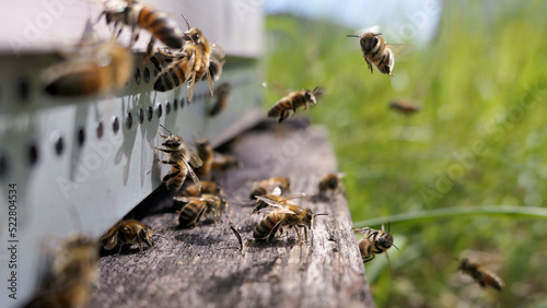Vol des abeilles devant une ruche photo