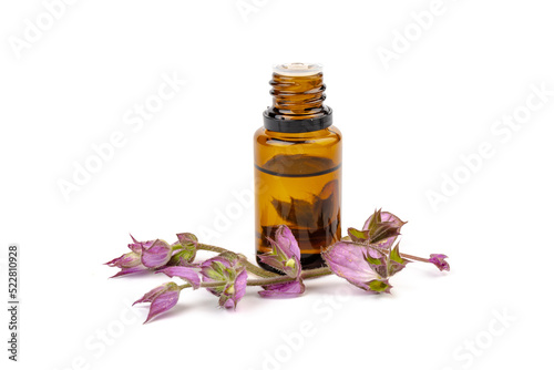 A bottle of essential oil with fresh blooming clary sage twigs on white background.