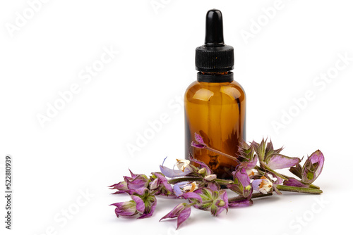 A bottle of essential oil with fresh blooming clary sage twigs on white background.