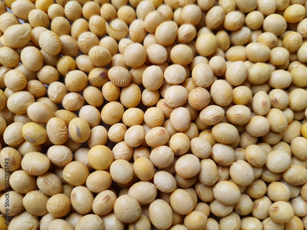 Full screen of Soybeans (Glycine max). Backgrounds and Textures. Full screen of Soybeans (Glycine max). Backgrounds and Textures.