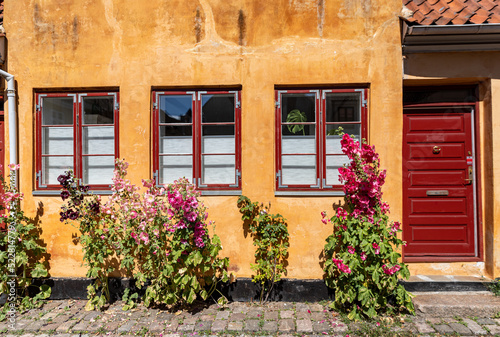 old house with flowers © Asa