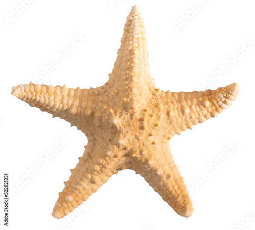 Seashell starfish top view isolated on white background with clipping path Fototapet