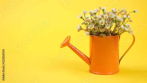 Flowers in a miniature watering can on a yellow background. Plant care concept. Place for text. Copy space.