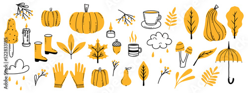 Fototapeta Naklejka Na Ścianę i Meble -  Autumn set of elements in doodle style. Collection with autumn leaves, pumpkins, mushrooms, berries and more. Vector illustration. Hello, Autumn. Doodle style.