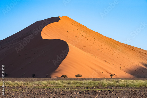 Namibia, the Namib desert in the Dead Valley, an oryx in background 