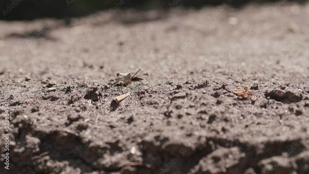 Dried, cracked ground watered with water. Slow motion recording. Dried, cracked ground watered with water. Slow motion recording.
