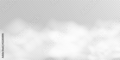 
Transparent smoke or fog vector background. Steam texture illustration. Powder explosion concept.