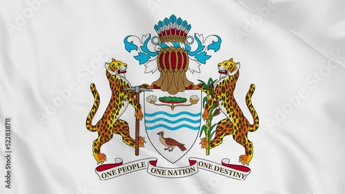 national emblem coat of arms or symbol of Guyana in waving flag. smooth 4k video seemless loop