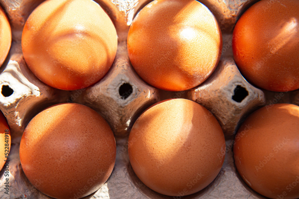 Fresh farm eggs in the cardboard boxes for storing eggs. Packaging for chicken made of recycled waste paper Fresh farm eggs in the cardboard boxes for storing eggs. Packaging for chicken made of recycled waste paper