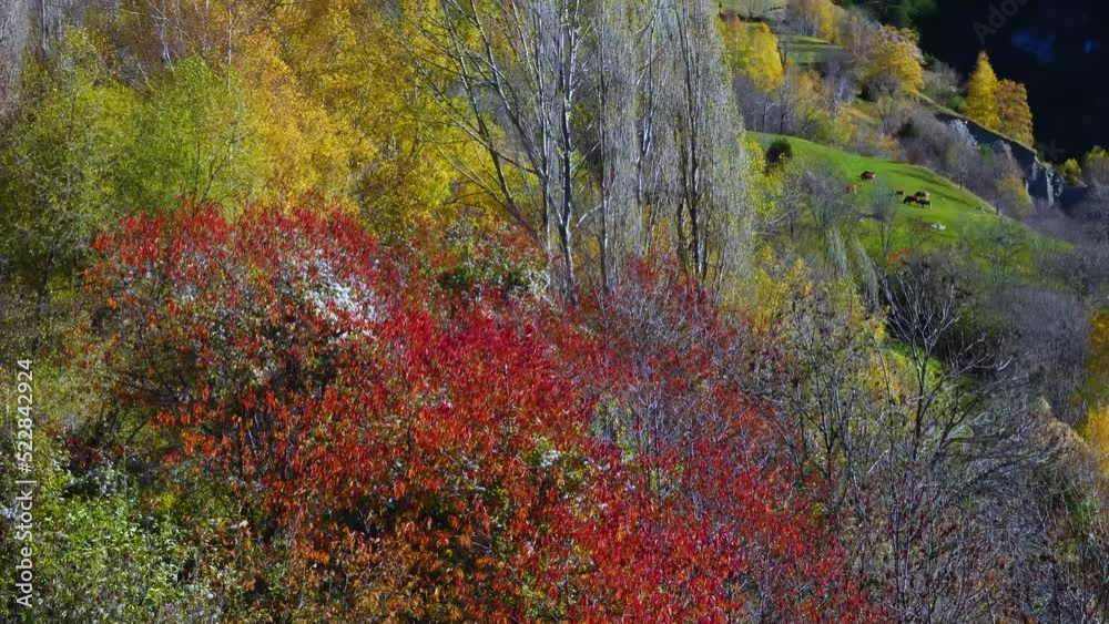 Autumn landscape in the surroundings of the town of Plan. Gistau Valley or Val de Chistau. Sobrarbe region. Huesca. Aragon. Spain. Europe Autumn landscape in the surroundings of the town of Plan. Gistau Valley or Val de Chistau. Sobrarbe region. Huesca. Aragon. Spain. Europe