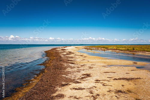 Wild beautiful beach on the Dzharylgach island in the Black Sea