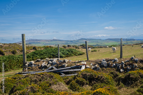 Walking on the Welsh Coast Path around Aberdaron on the Llyn Peninsula in North Wales photo