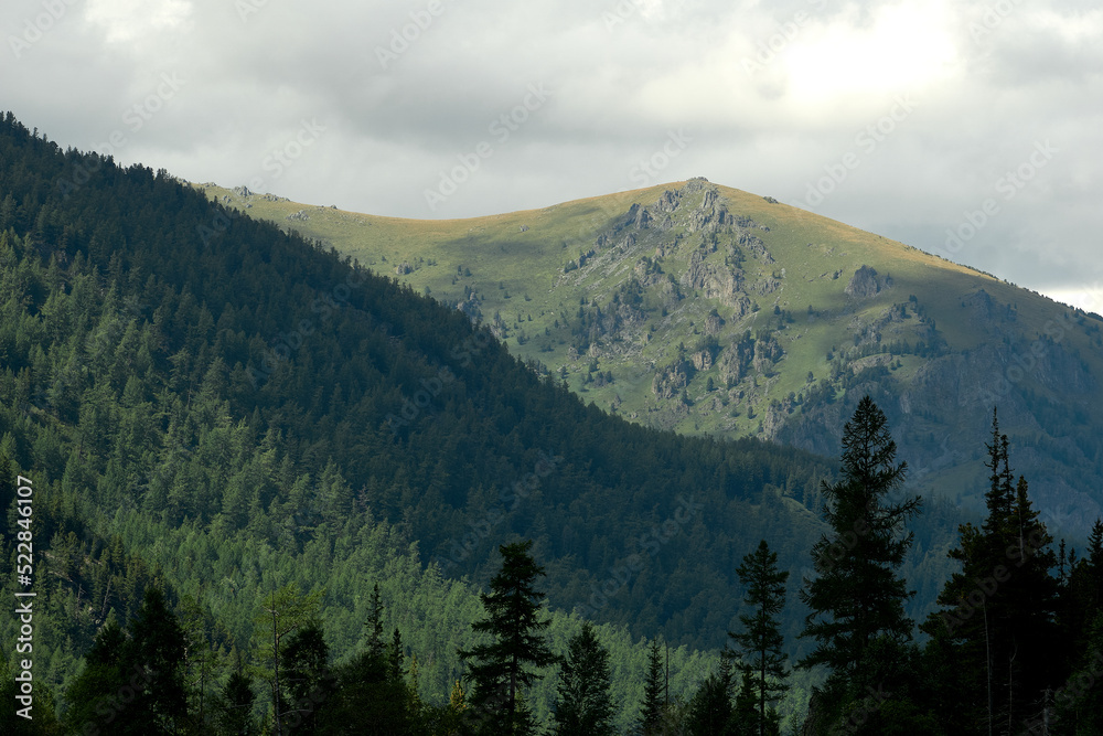 Green slopes of rocky mountains in the Katunsky reserve of Altai