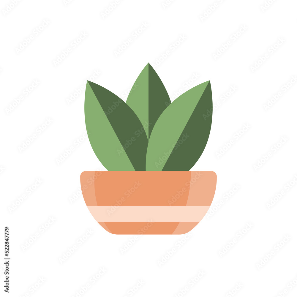 simple plants with green leaves in the pot. simple plants with green leaves in the pot.