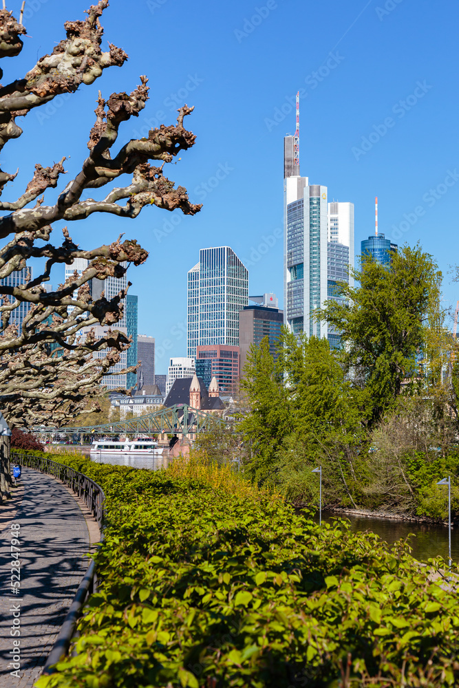 Fototapeta premium Frankfurt am Main, Sachsenhäuser Ufer. Rechts die Maininsel, im Hintergrund die Skyline. 16.04.2022.