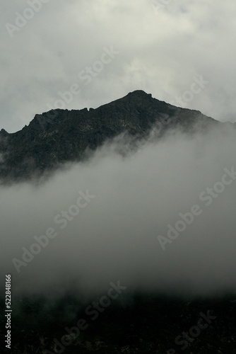 Dense fog in the mountain valley of the Katunsky Reserve Altai