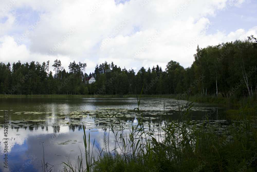 Fototapeta premium blue house on the shore of a forest lake. solitary living in an ecologically clean area. coniferous forest