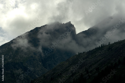 Dense fog in the mountain valley of the Katunsky Reserve Altai © NCKAHDEP
