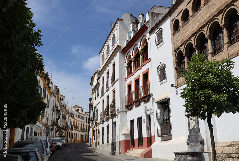 Charming architecture of old streets of Cordoba