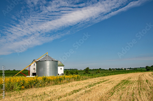 Grain Silo surrounded by Black Eyed Susans in Lancaster County, PA 