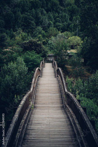 Viejo puente de madera atravesando el bosque