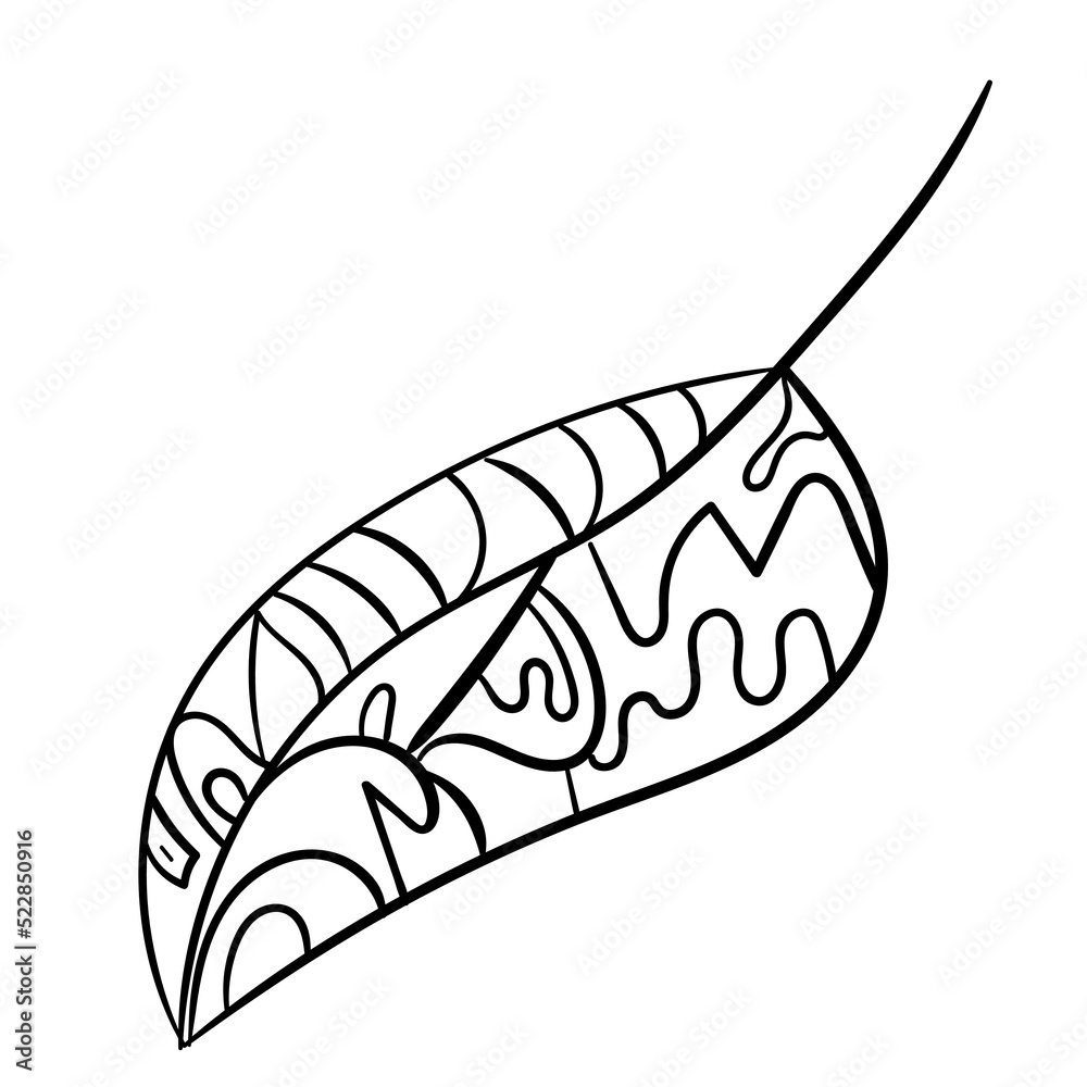 Botanical leaves set. Vector nature icon. Black doodle illustration on white background. Botanical leaves set. Vector nature icon. Black doodle illustration on white background.