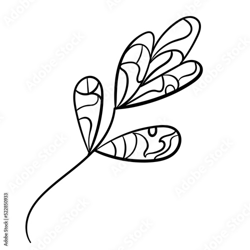 Botanical leaves set. Vector nature icon. Black doodle illustration on white background.