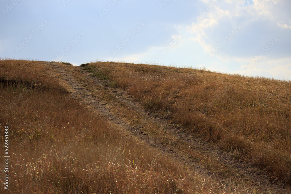 path leading into the sky with clouds and scorched dry grass. landscape for screensaver. grassy lawn, typical steppe landscape.