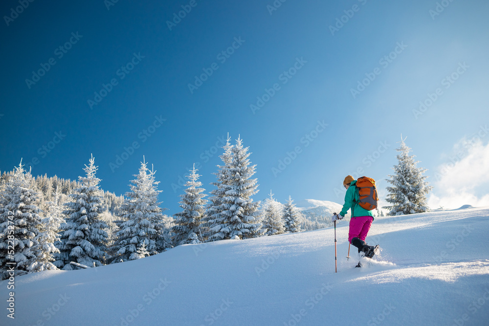 A woman walks in snowshoes in winter trekking