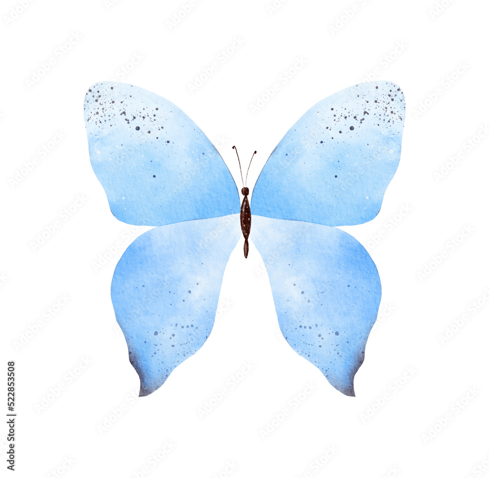 Hand painted blue watercolor butterfly clipart on white background