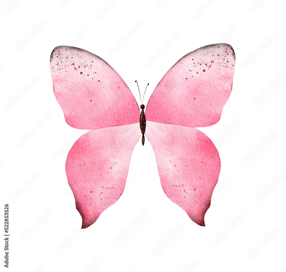 Hand painted pink watercolor butterfly clipart on white background