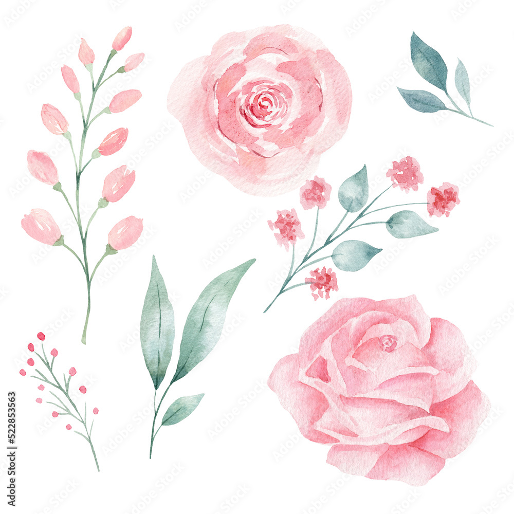 Set of hand painted pink watercolor flowers and greenery leaves.