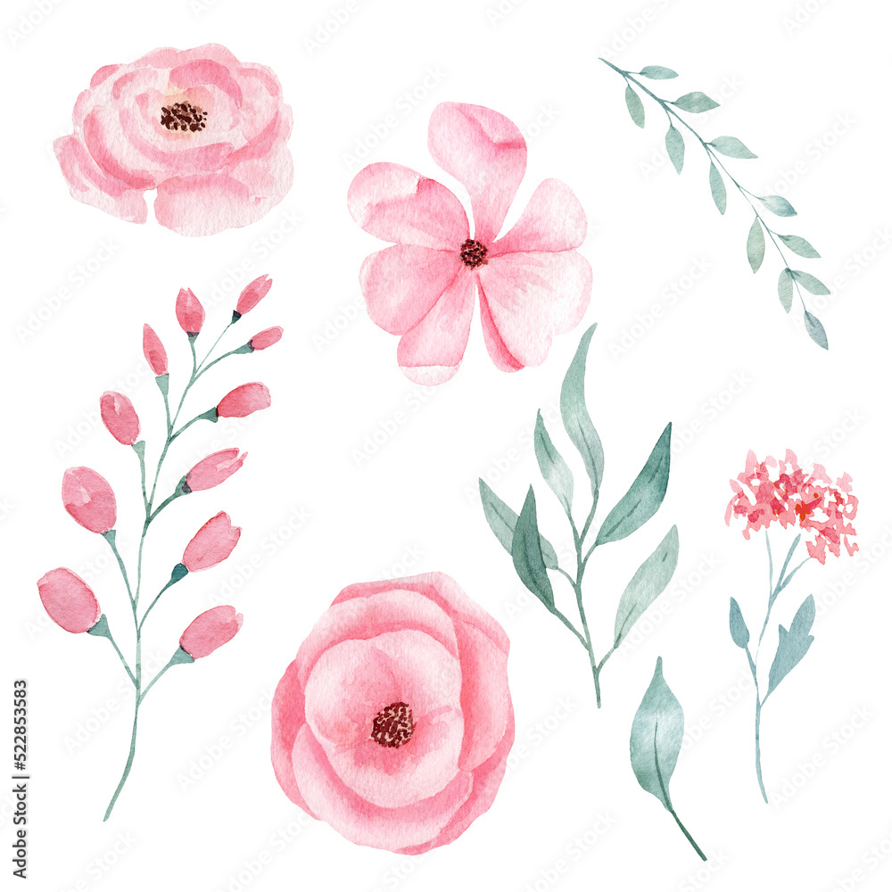 Set of hand painted pink watercolor flowers and greenery leaves.