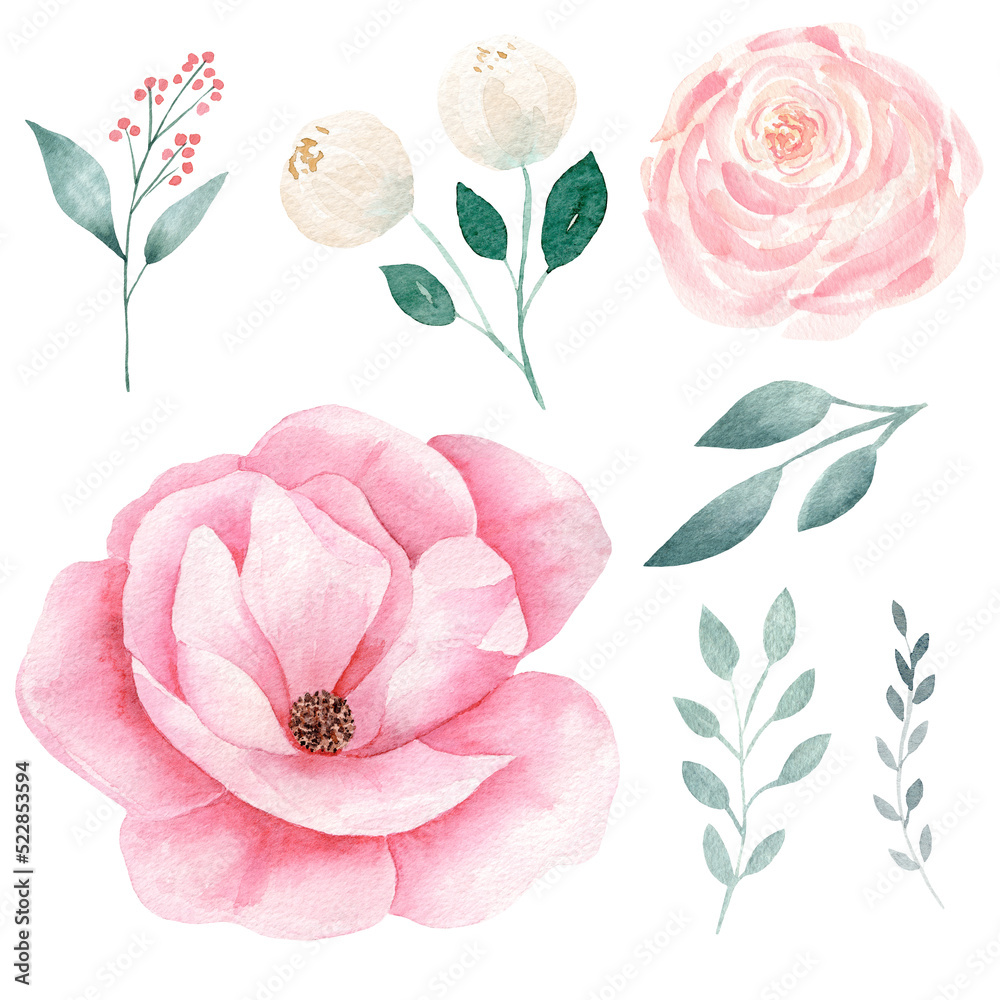 Set of hand painted pink watercolor flowers and greenery leaves.