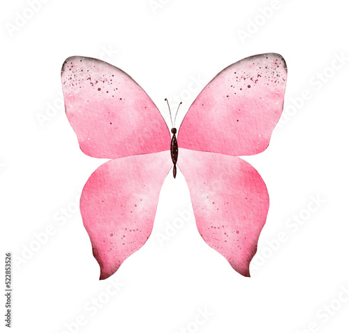 Obraz na płótnie Hand painted pink watercolor butterfly clipart on white background w salonie