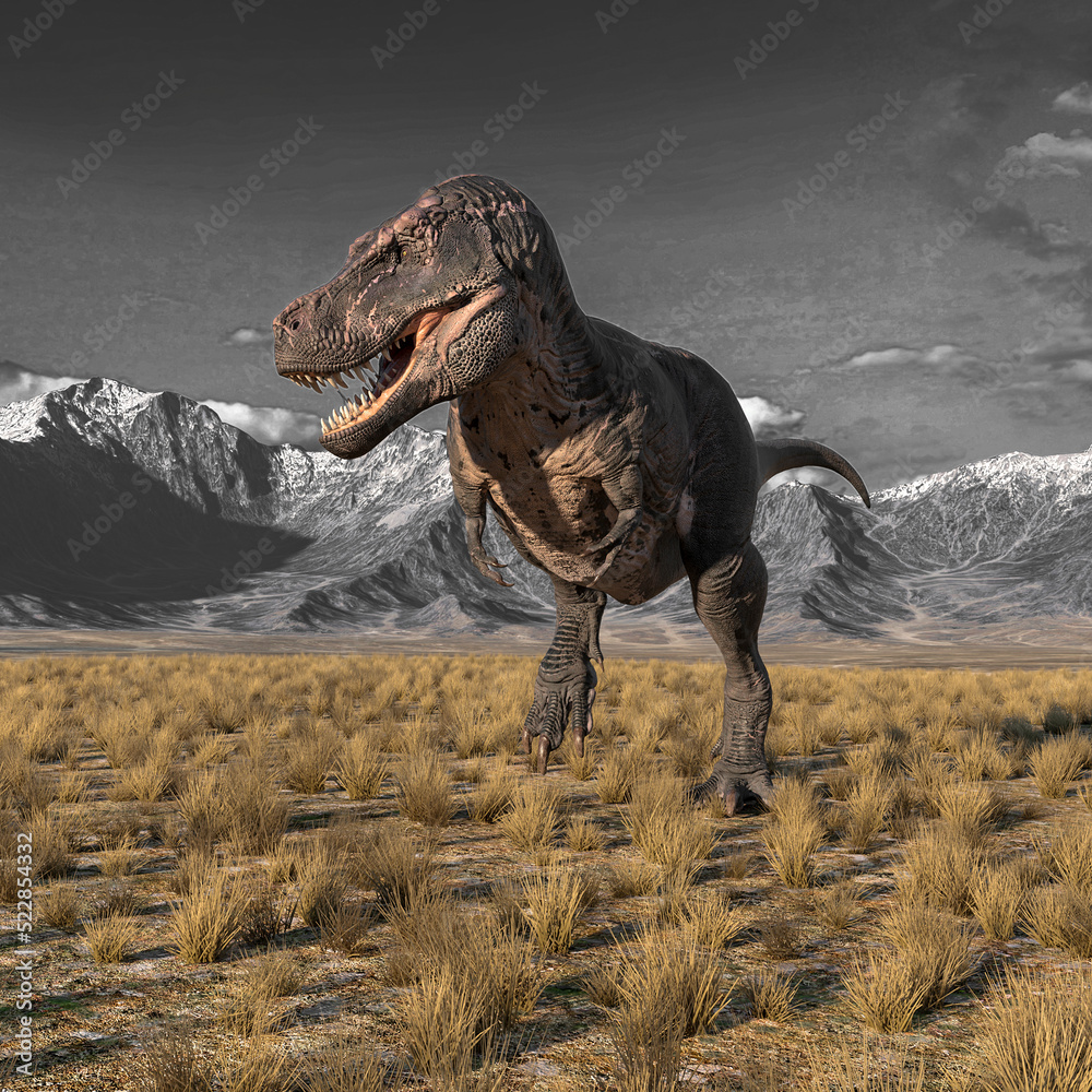 Fototapeta premium tyrannosaurus rex is alone in plains and mountains