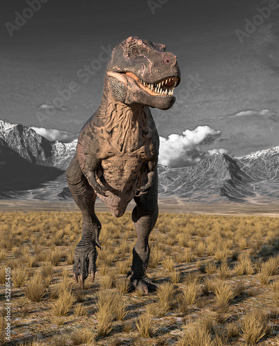 tyrannosaurus rex is standing up in plains and mountains © DM7