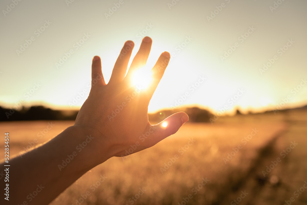 Persons hand in nature reaching out to touch the warm sun light. Spiritual, light, healing energy concept - obrazy, fototapety, plakaty 