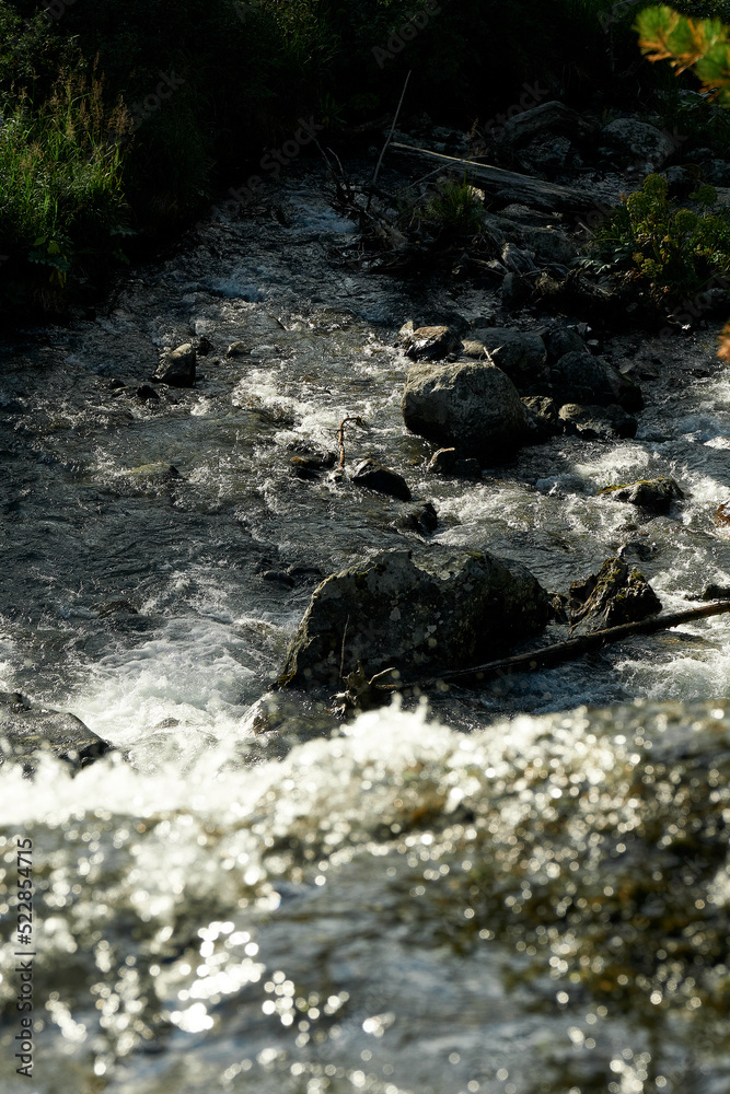 Rocky rapids of the Multa River in the Katunsky Reserve of Altai Rocky rapids of the Multa River in the Katunsky Reserve of Altai