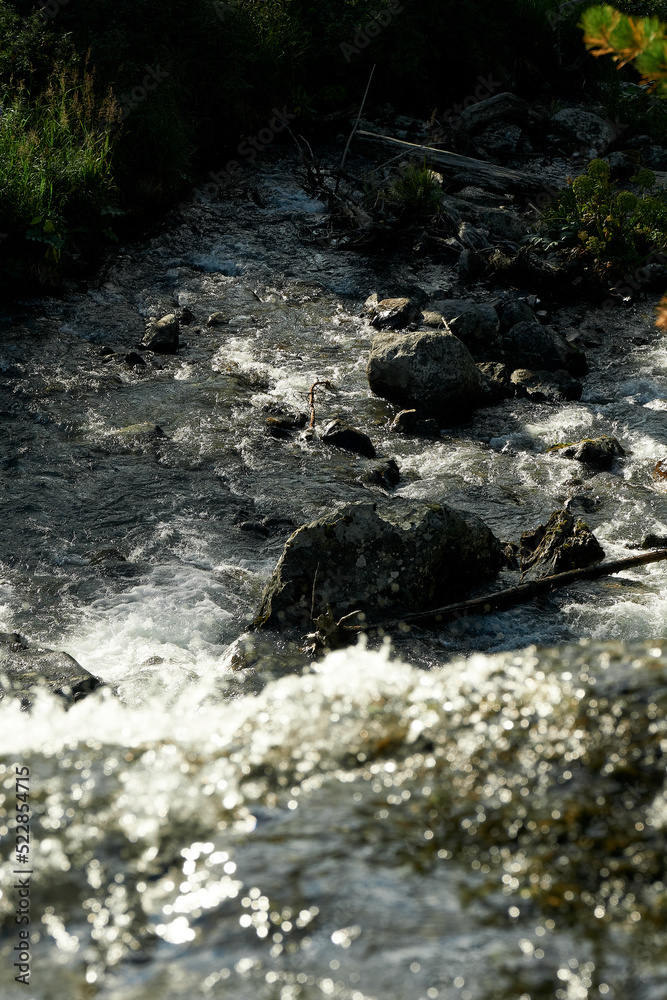 Rocky rapids of the Multa River in the Katunsky Reserve of Altai