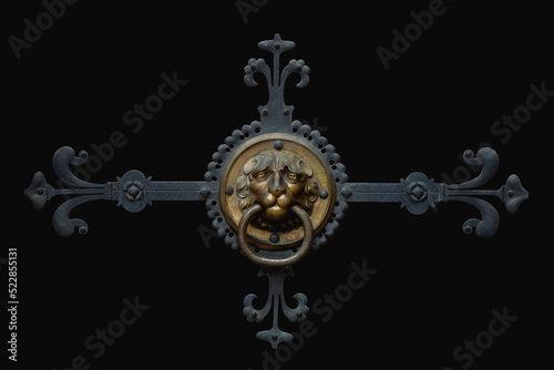 Elements of architectural decorations with lion head on dark background.