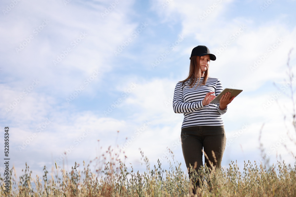 Modern technologies in agriculture, business woman farmer with computer tablet in her hands works in wheat field, checks grain harvest. Agriculture, growing food. Healthy ecological food
