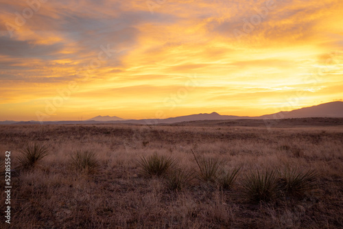 Vivid yellow sunrise over dry grassy plains with distant mountains at sunrise