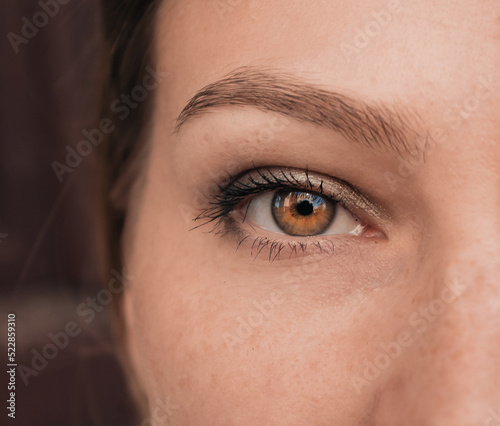 Female eye, looking into the camera, human vision