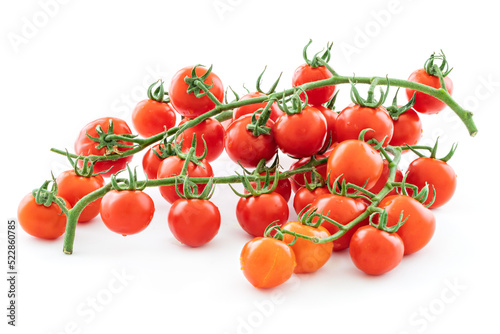 Delicious and rich tomatoes on a branch with drops of water, isolated on a white background. Agricultural harvest and daily healthy food