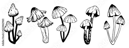 Collection of sketches of different toadstools, fly agaric.Vector graphics.